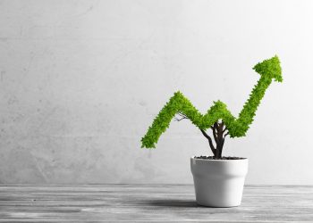 Raising Questions: How Much Have ICOs Raised this Year?