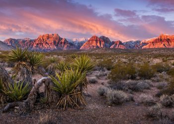 Millionaire Will Build Blockchain Smart City in Nevada