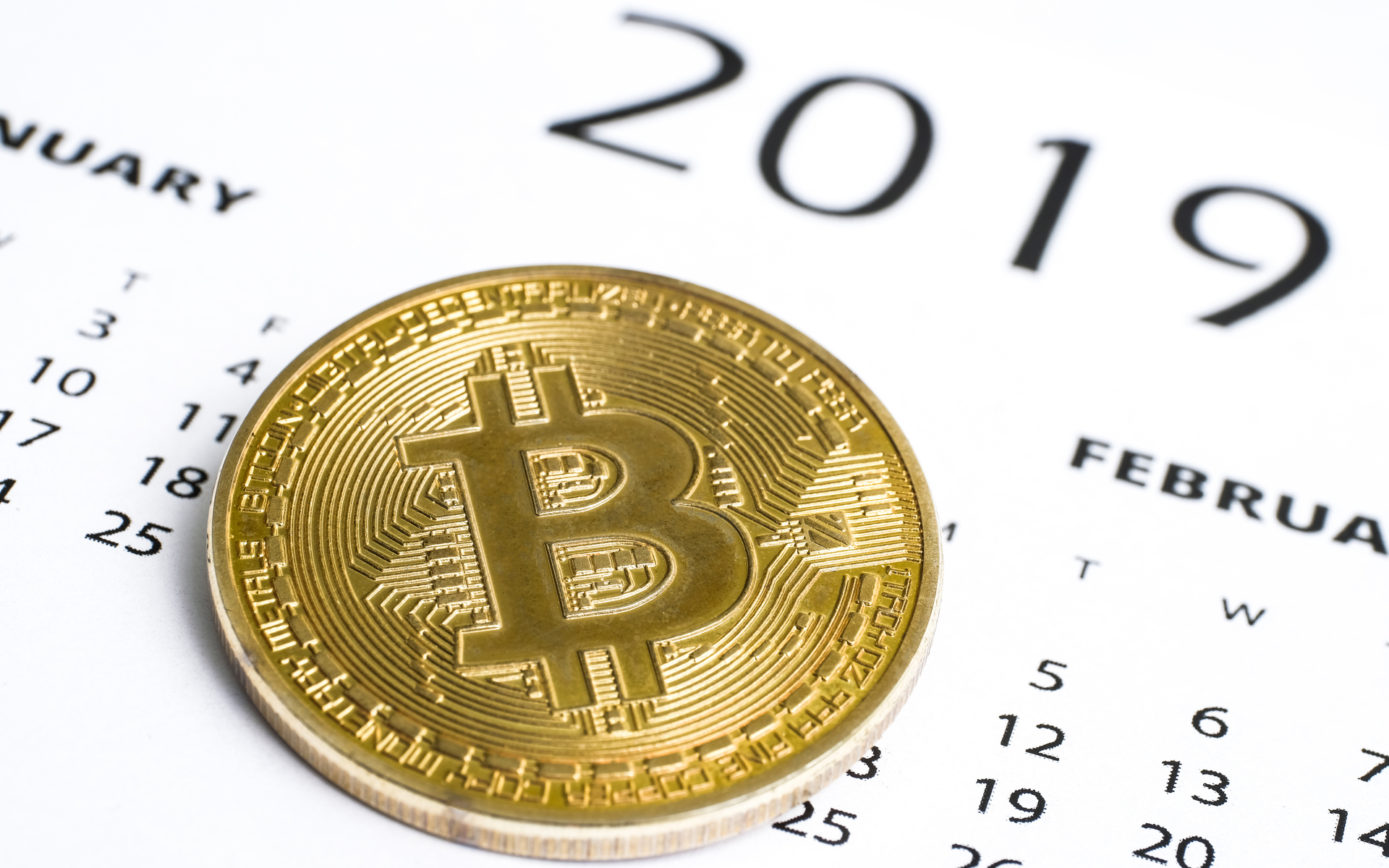 new year 2019 bitcoin icos crypto bull