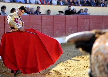 Bitcoin price bull run