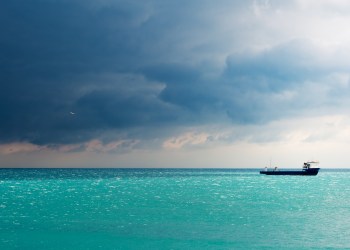 perfect storm financial crisis bitcoin