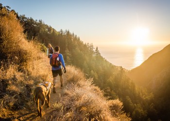 The Trading Secret of kela-leo: Profit is Important, Lower Risk is More Important!