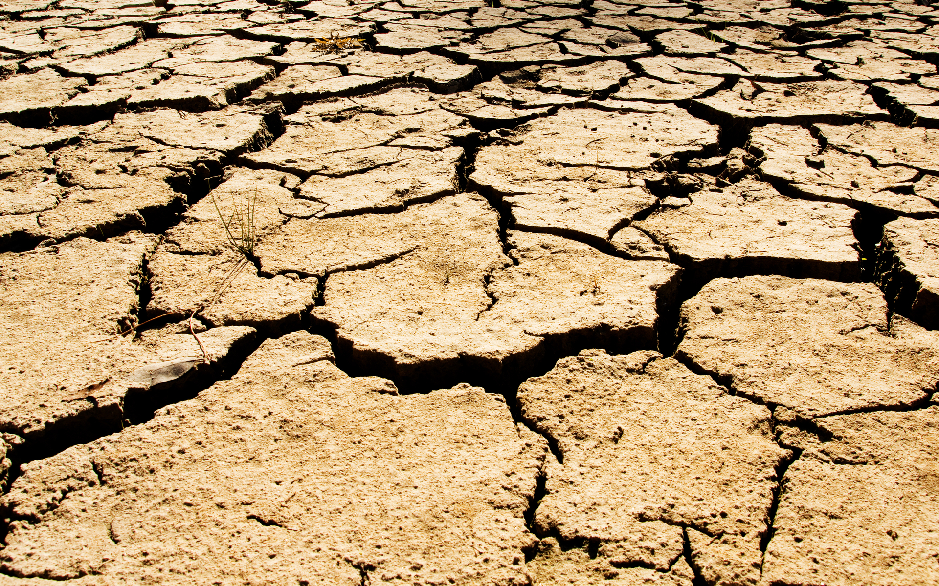 australia drought liqudity