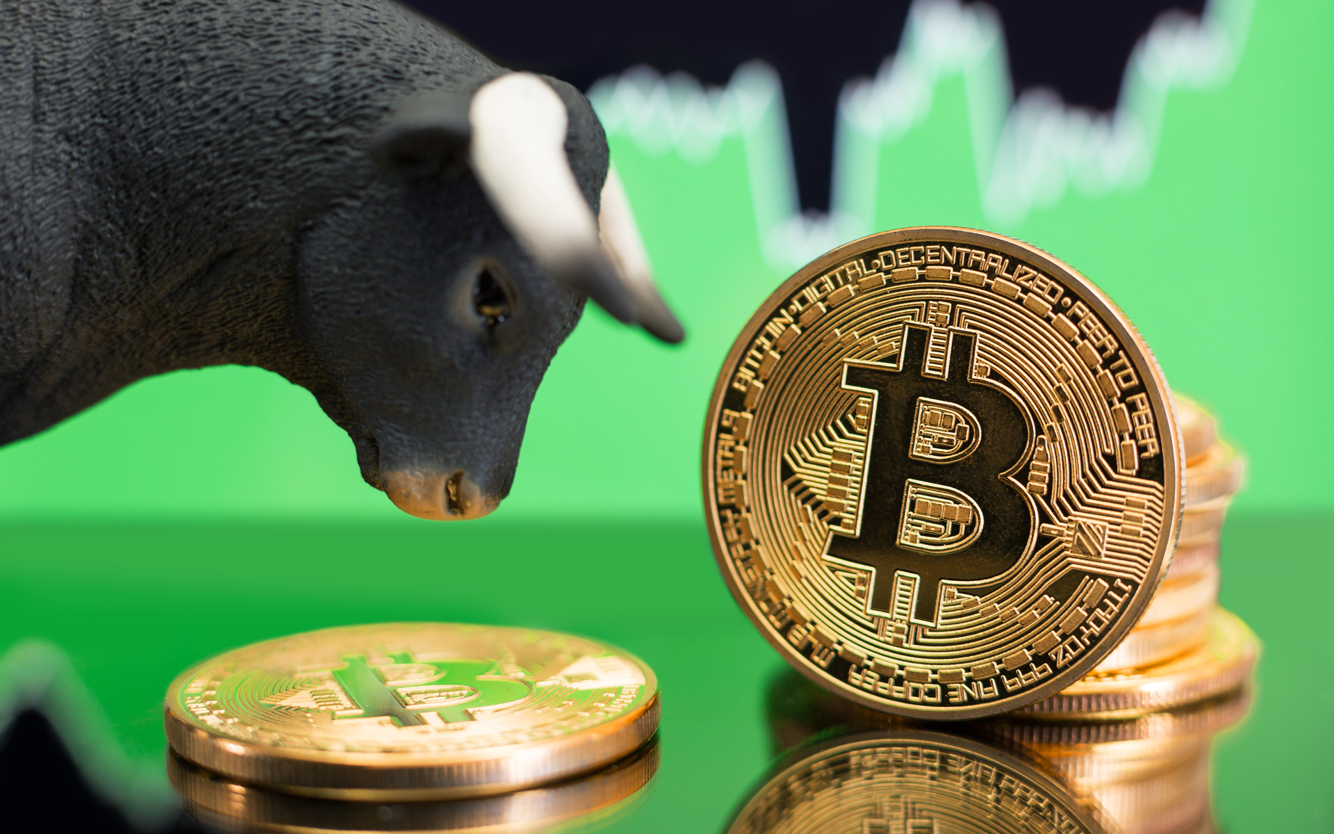 From Bears to Bulls: Financial Advisors Change Opinions About Bitcoin After Crash Course