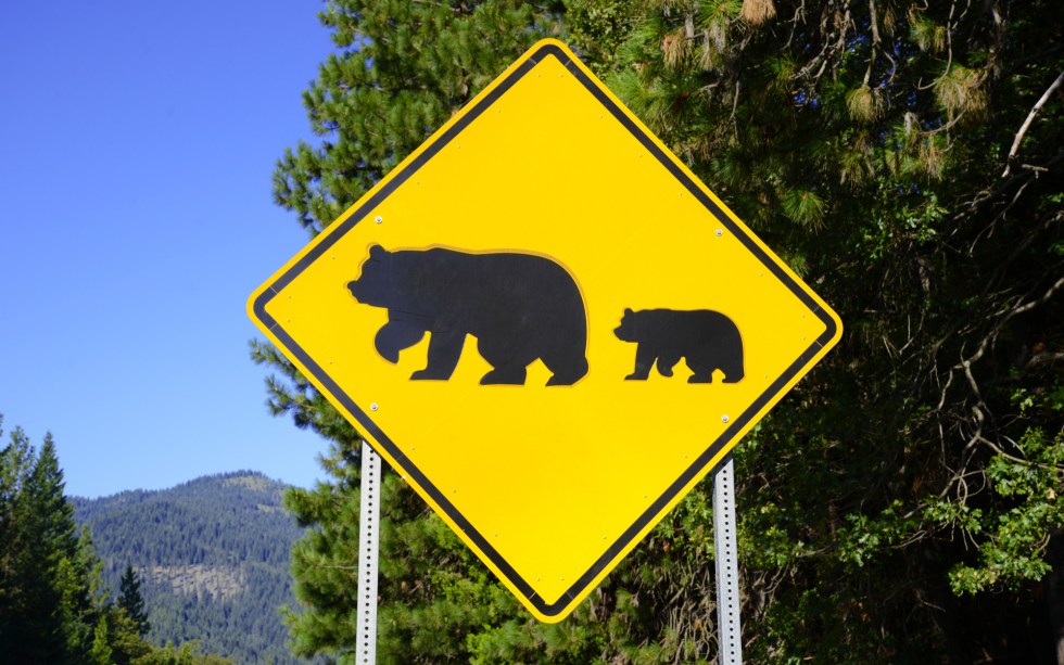 bear market Cryptocurrency