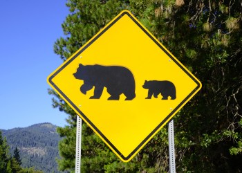 bear market Cryptocurrency