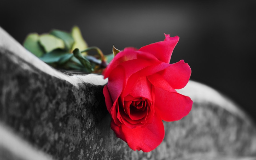 bitcoin obituaries lightning network flowers graveyard