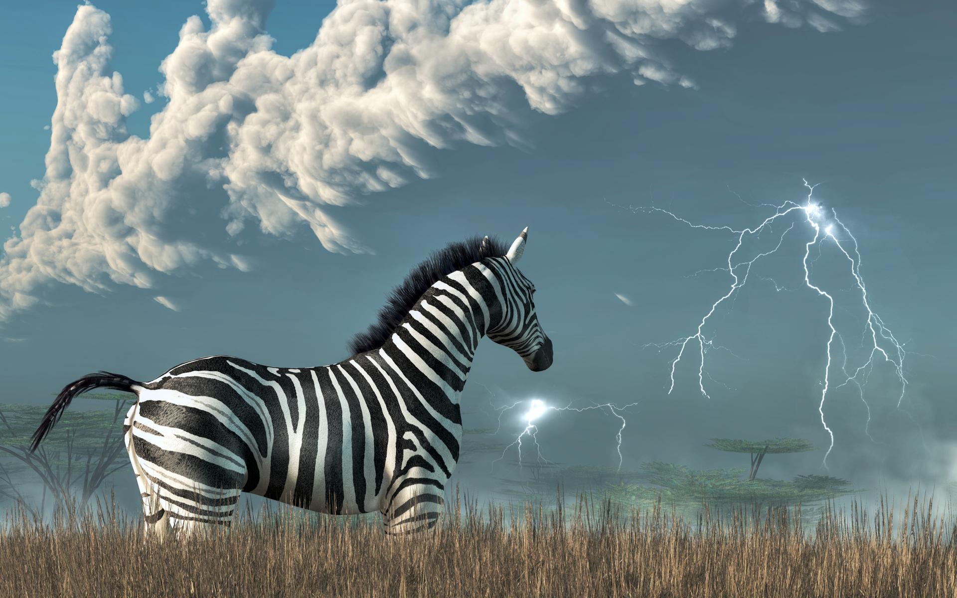 zebpay zebra lightning