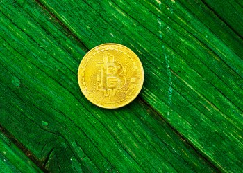 bitcoin green tech leaf