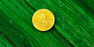 bitcoin green tech leaf
