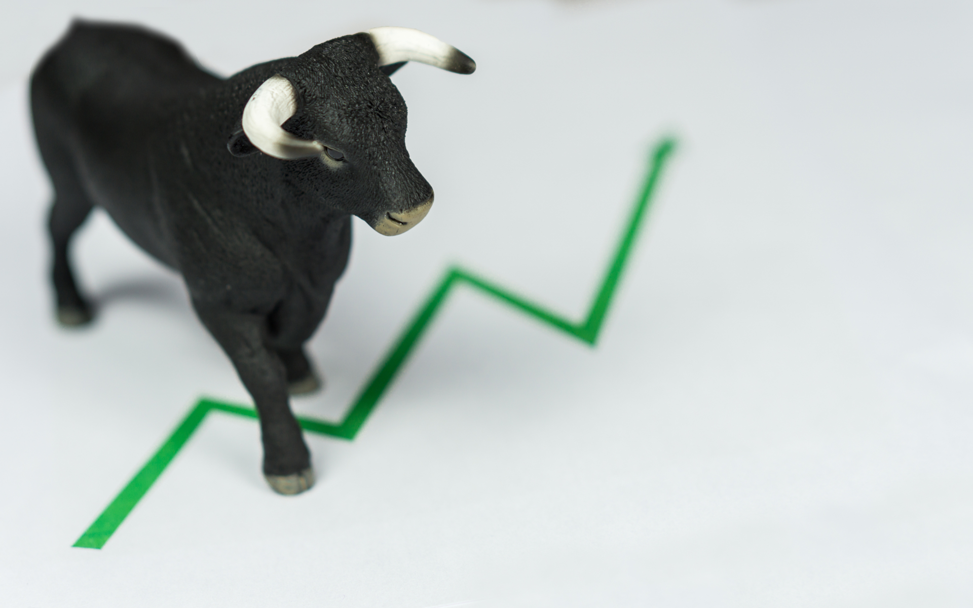 bitcoin bull price