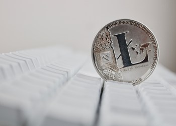 Litecoin is a ‘Glorified Bitcoin Testnet,’ Says Investor Mike Novogratz
