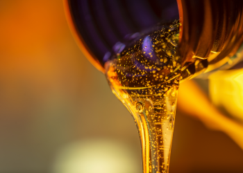 liquidation cryptopia honey pot cryptocurrency crypto