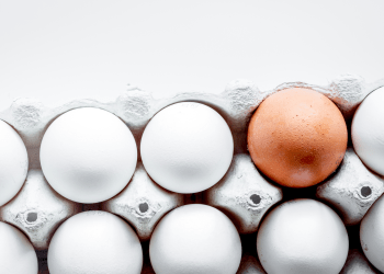 bitcoin altcoins diversify portfolio eggs