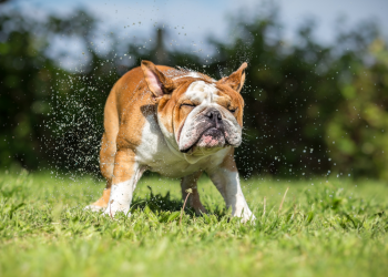 Bitcoin Price Regains $6000 Trajectory As Markets Shake Off Binance Hack