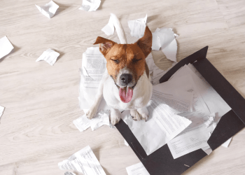 bitcoin lightning network invoice