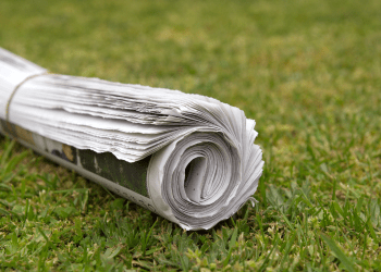 newspaper news bitcoin