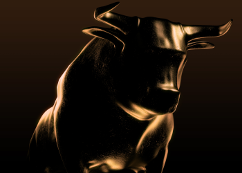 bitcoin price bull market