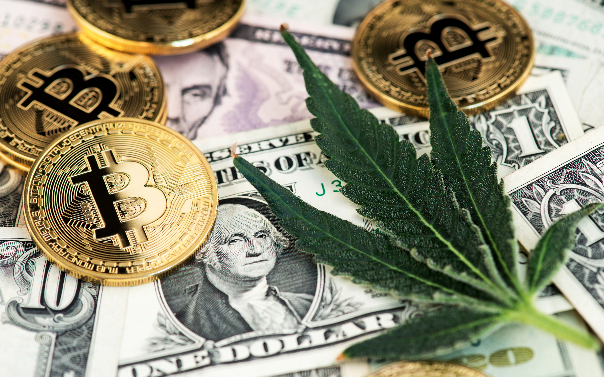 Bitcoin Cannabis