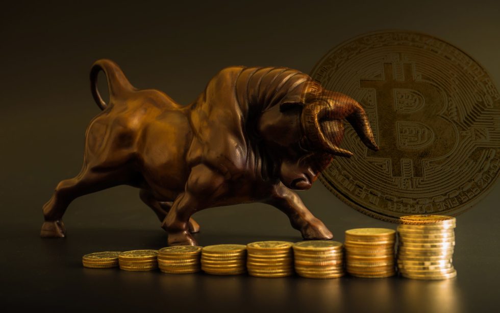 Bitcoin price bull run