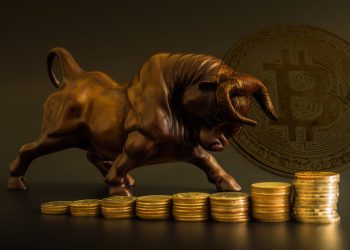 Bitcoin price bull run