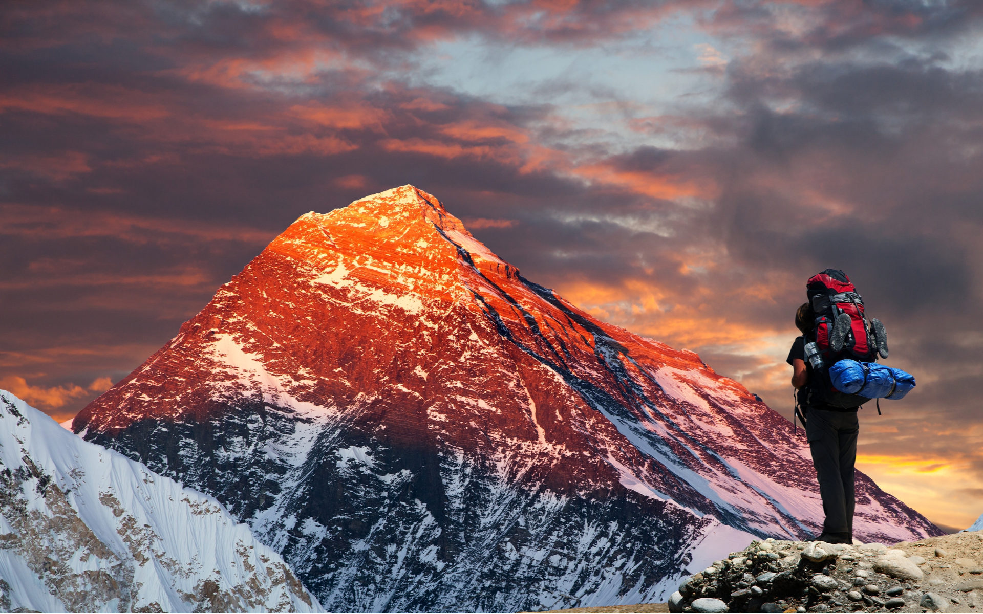 new bitcoin price high 2019