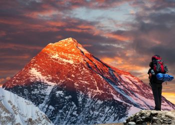 new bitcoin price high 2019