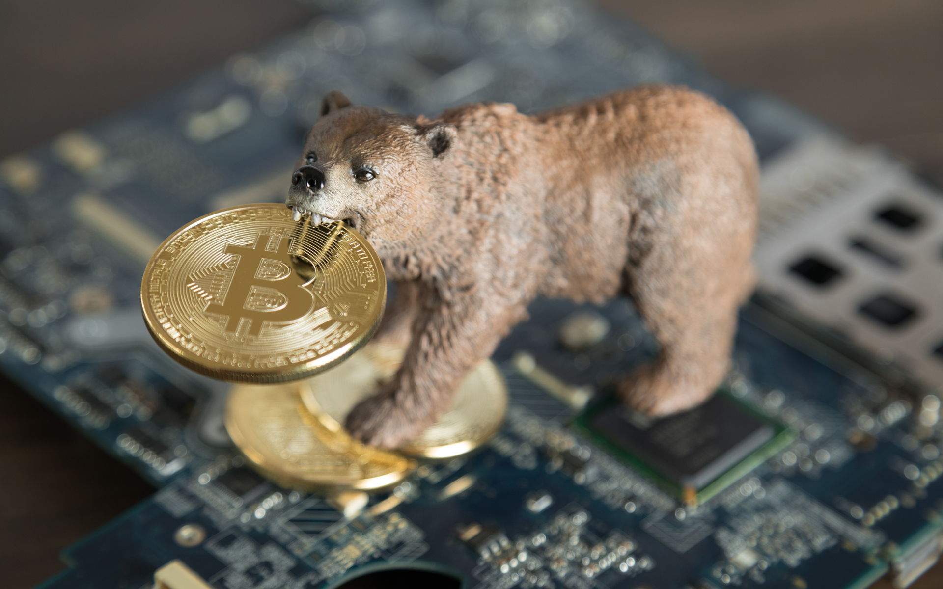 bitcoin price bearish