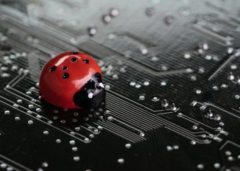 bitcoin lightning network bugs