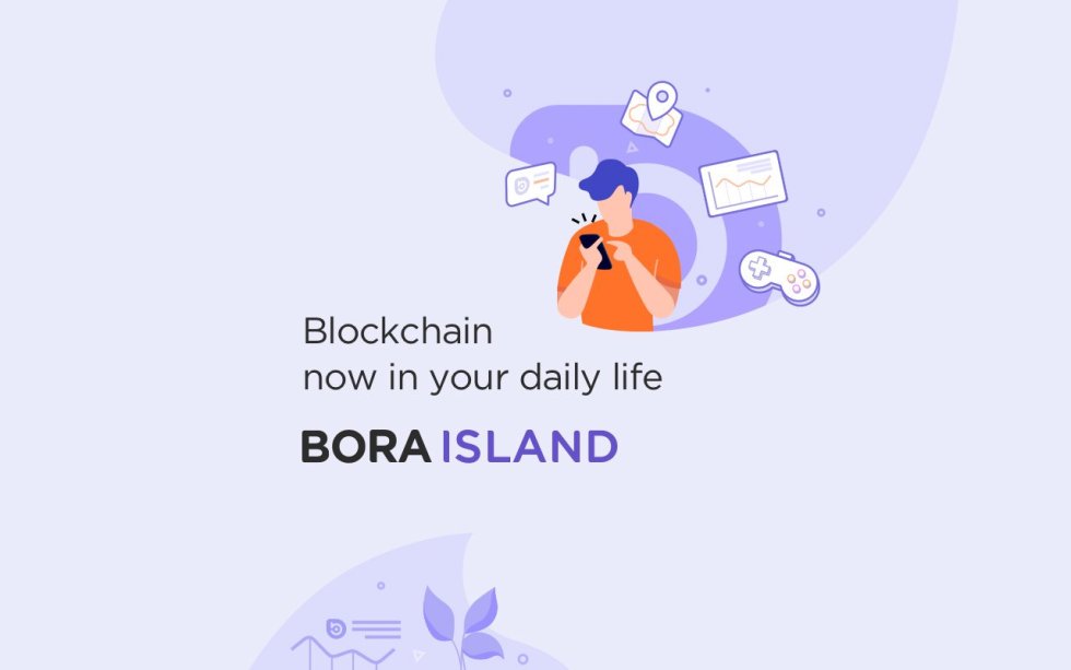 bora blochain ecosystem