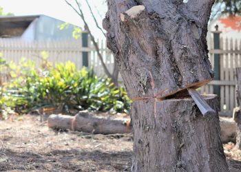 bitcoin price falling wedge