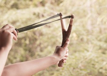 bitcoin price bull run