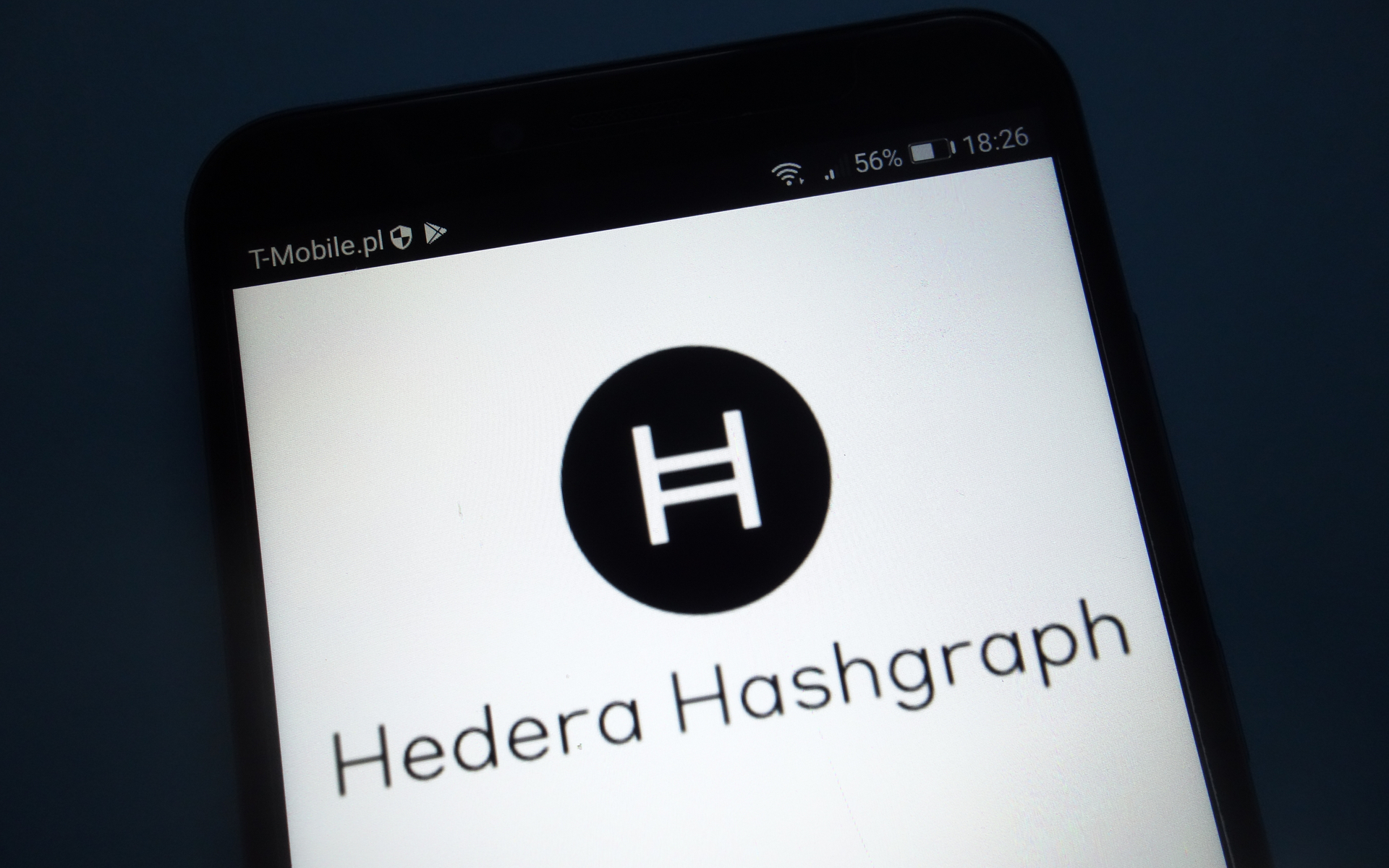 Hedera Hashgraph Nodes Shut Down Without Warning