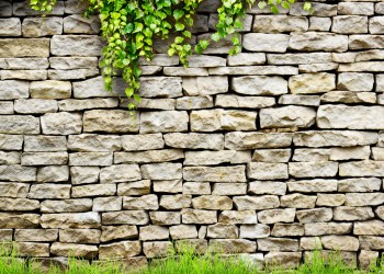 ripple exec says libra closed