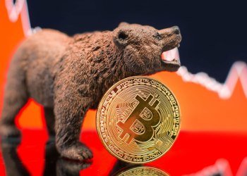 bitcoin bears