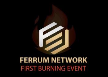 ferrum network token burn
