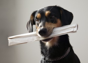 bitcoin digest sunday