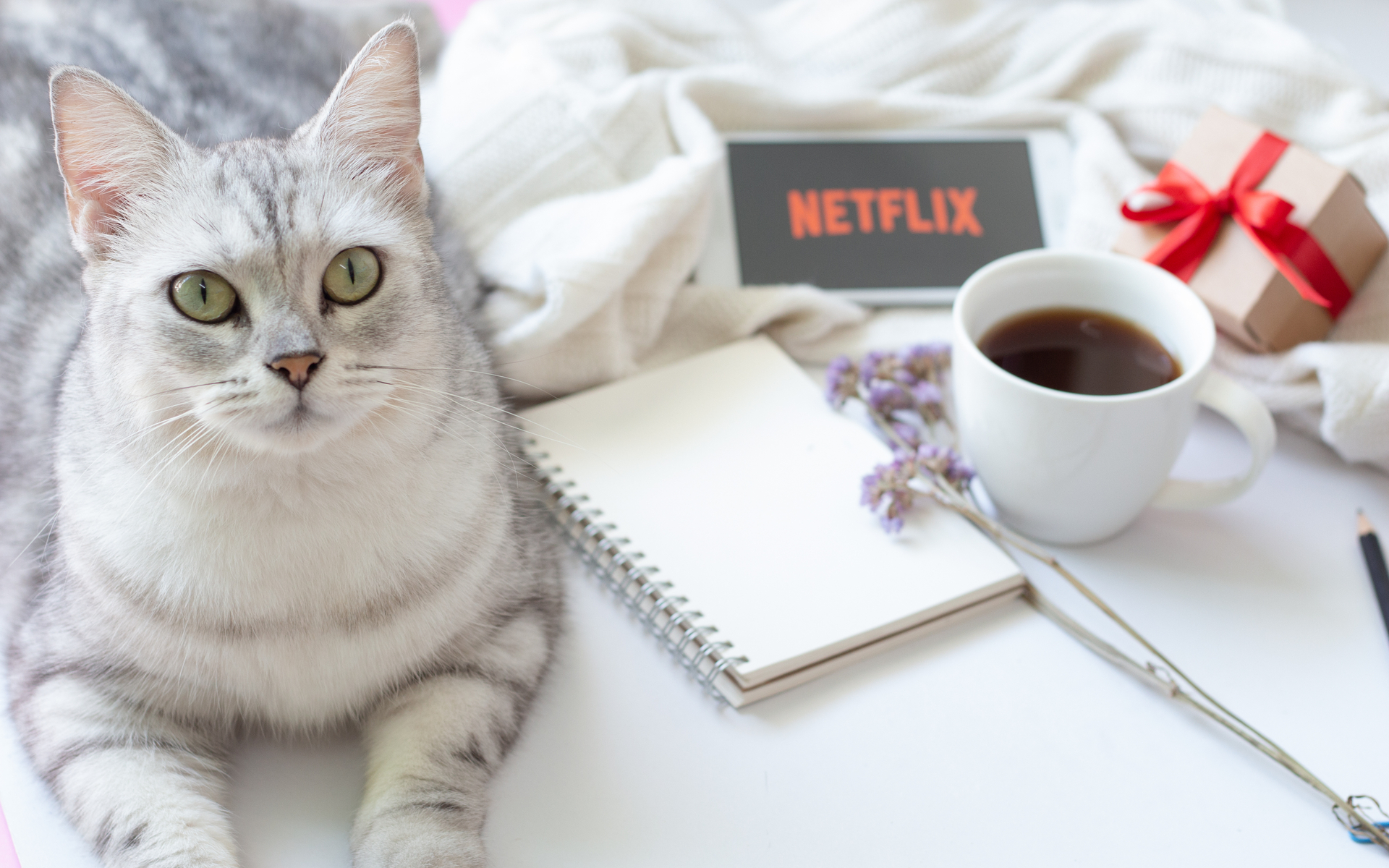 sunday bitcoin digest