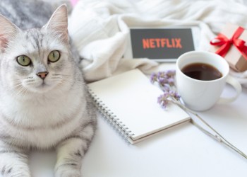 sunday bitcoin digest