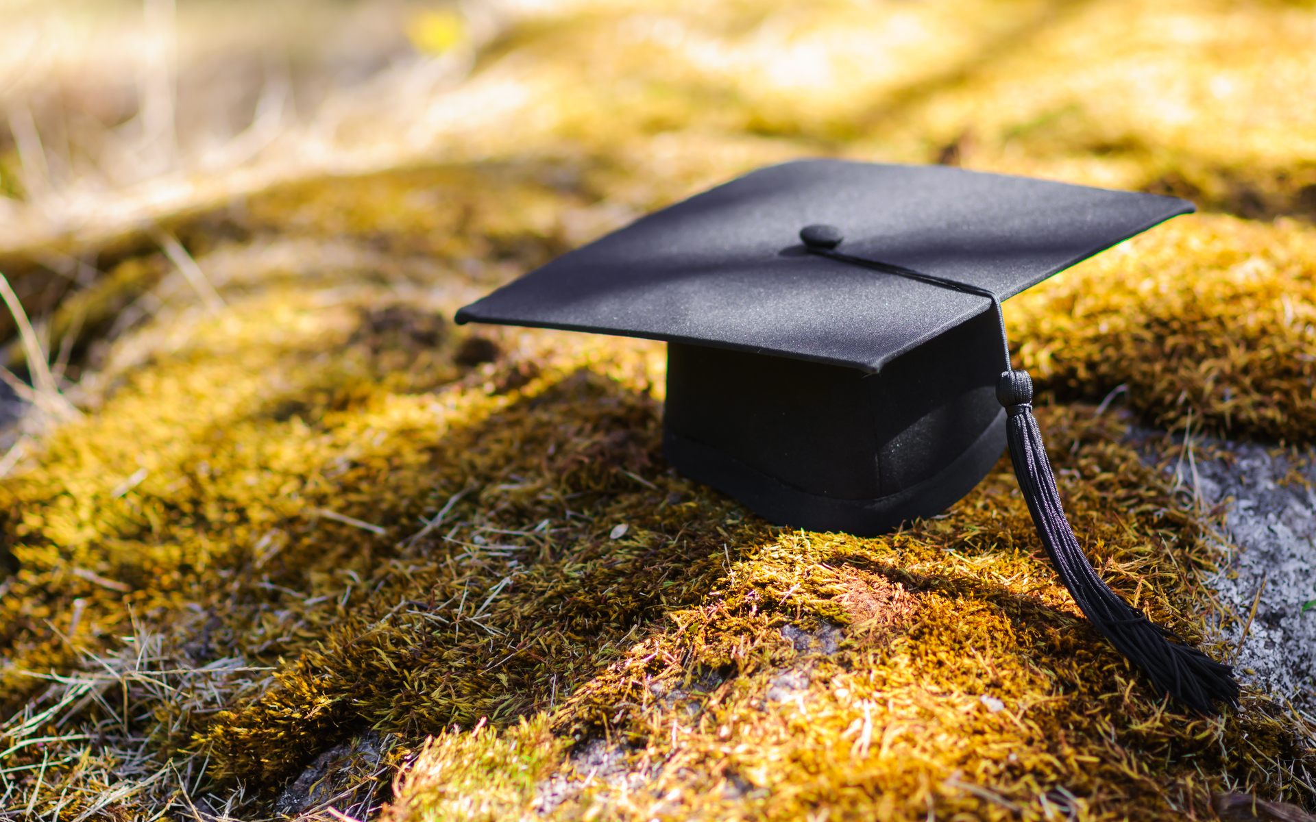 ICO Returns in 2017 were still the highest