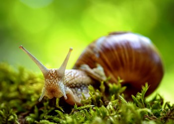 Bitcoin network slow block discovery