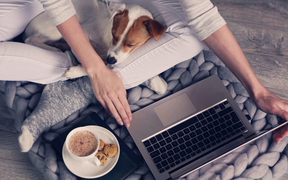 bitcoin price and general weekly news