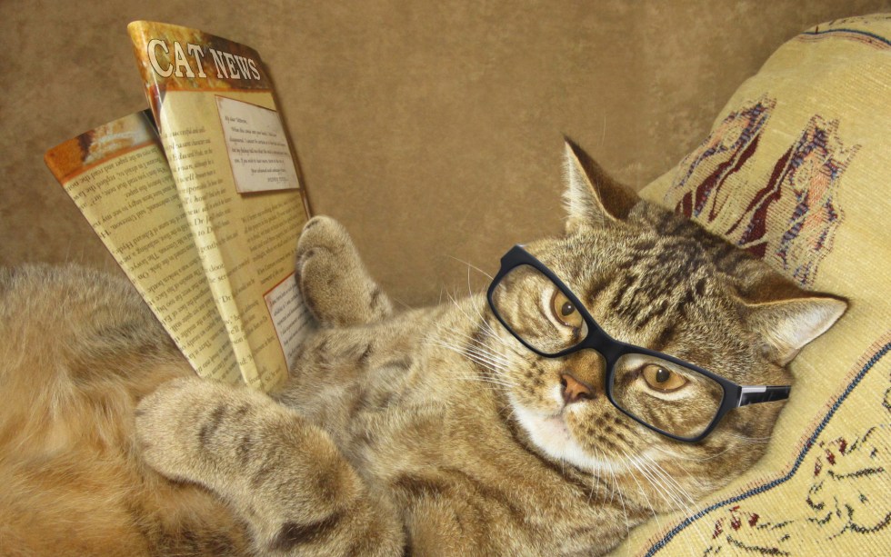 sunday bitcoin and crypto news digest