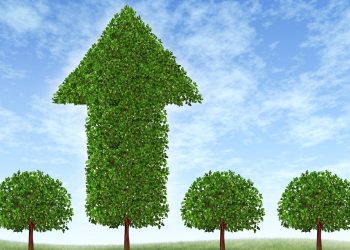 bitcoin outperformed altcoins