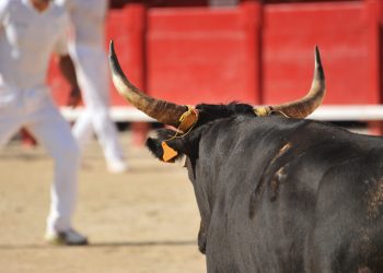 bitcoin price bullish outlook