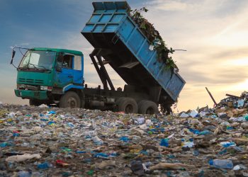 ripple xrp dumping hard at swell