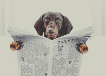 Sunday digest bitcoin blockchain