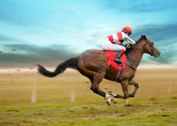 Bitcoin will outpace S&P 500 gains