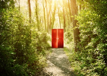 bitcoin btc price future possibilities