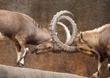 PNC bank vs fintech firm venmo